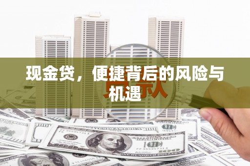 德惠现金贷，便捷背后的风险与机遇