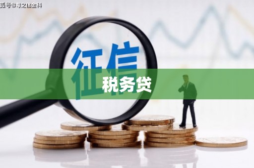 德惠税务贷