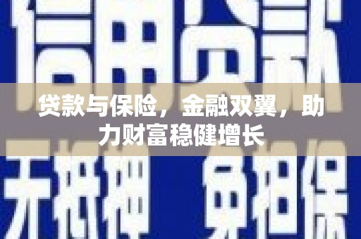 德惠贷款与保险，金融双翼，助力财富稳健增长