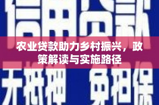 德惠农业贷款助力乡村振兴，政策解读与实施路径