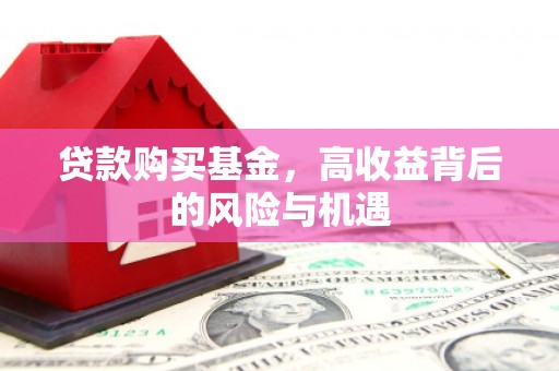 德惠贷款购买基金，高收益背后的风险与机遇
