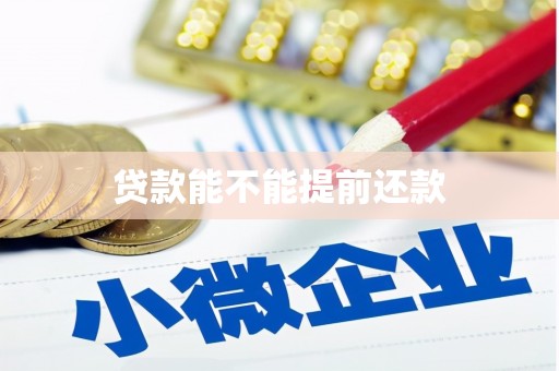 德惠贷款能不能提前还款