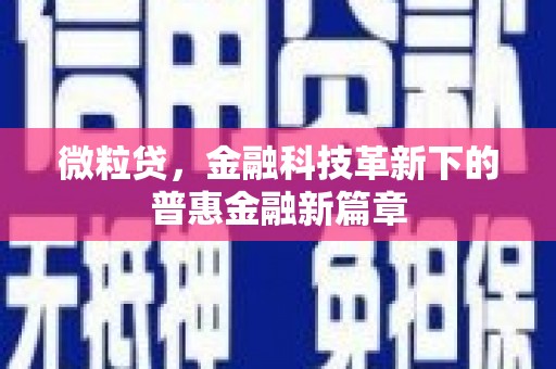 德惠微粒贷，金融科技革新下的普惠金融新篇章