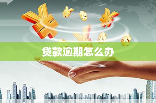 德惠贷款逾期怎么办