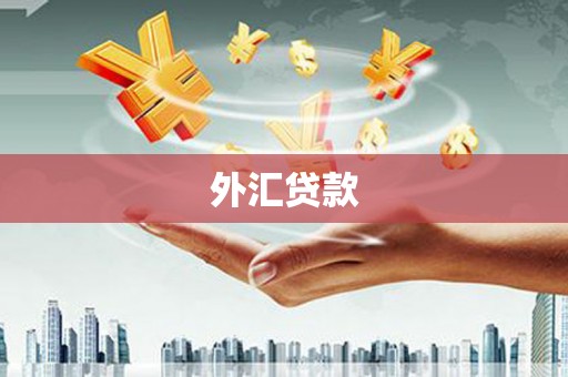 德惠外汇贷款