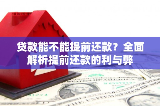 德惠贷款能不能提前还款？全面解析提前还款的利与弊