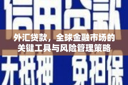 德惠外汇贷款，全球金融市场的关键工具与风险管理策略