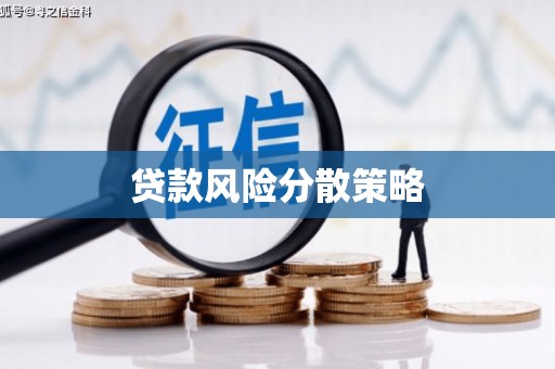 德惠贷款风险分散策略