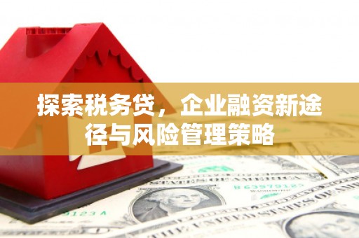 德惠探索税务贷，企业融资新途径与风险管理策略