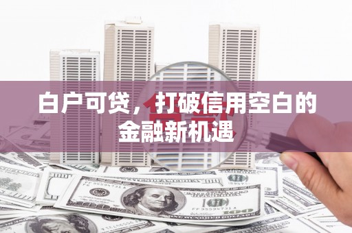 德惠白户可贷，打破信用空白的金融新机遇