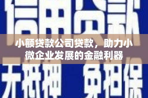德惠小额贷款公司贷款，助力小微企业发展的金融利器