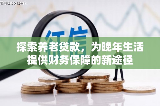 德惠探索养老贷款，为晚年生活提供财务保障的新途径