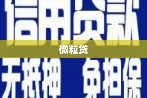 德惠微粒贷