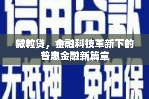 德惠微粒贷，金融科技革新下的普惠金融新篇章