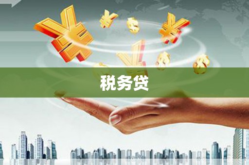 德惠税务贷