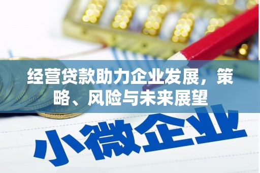 德惠经营贷款助力企业发展，策略、风险与未来展望