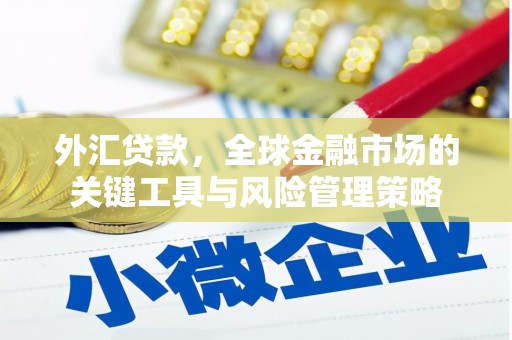 德惠外汇贷款，全球金融市场的关键工具与风险管理策略