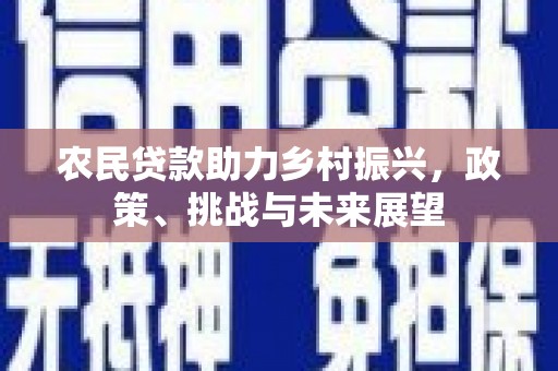 德惠农民贷款助力乡村振兴，政策、挑战与未来展望