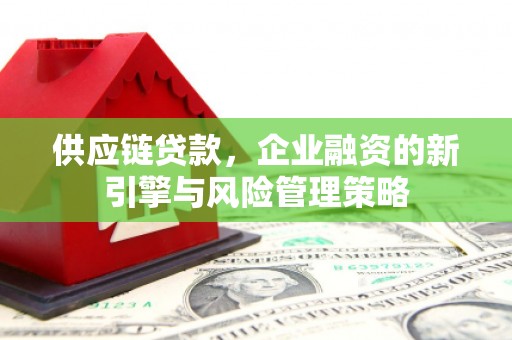 德惠供应链贷款，企业融资的新引擎与风险管理策略