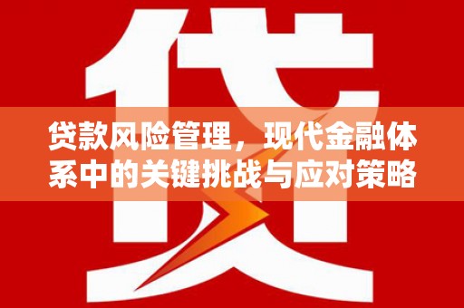 德惠贷款风险管理，现代金融体系中的关键挑战与应对策略