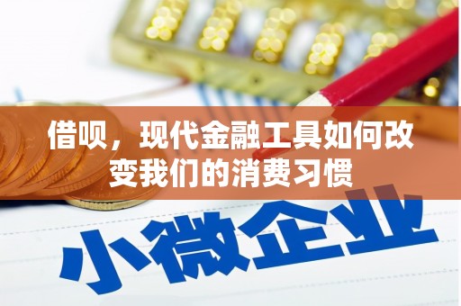 德惠借呗，现代金融工具如何改变我们的消费习惯