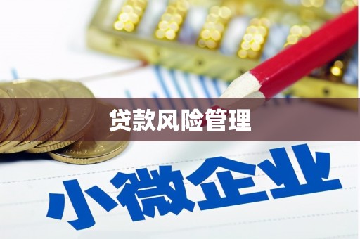 德惠贷款风险管理