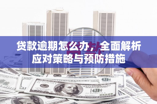 德惠贷款逾期怎么办，全面解析应对策略与预防措施