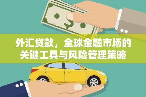 德惠外汇贷款，全球金融市场的关键工具与风险管理策略