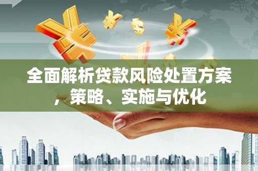 德惠全面解析贷款风险处置方案，策略、实施与优化