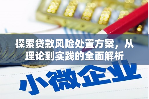 德惠探索贷款风险处置方案，从理论到实践的全面解析
