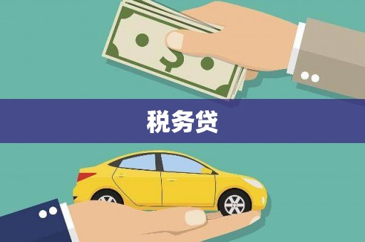 德惠税务贷