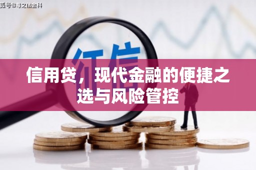 德惠信用贷，现代金融的便捷之选与风险管控