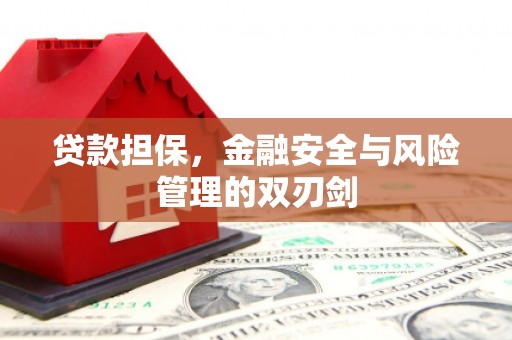 德惠贷款担保，金融安全与风险管理的双刃剑
