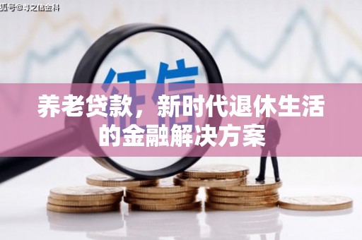 德惠养老贷款，新时代退休生活的金融解决方案