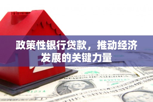 德惠政策性银行贷款，推动经济发展的关键力量