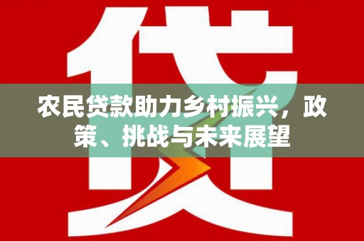 德惠农民贷款助力乡村振兴，政策、挑战与未来展望