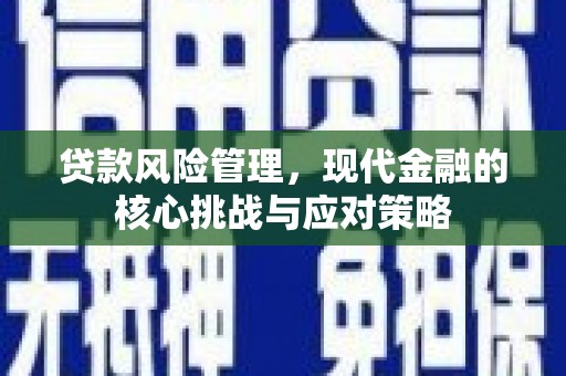 德惠贷款风险管理，现代金融的核心挑战与应对策略