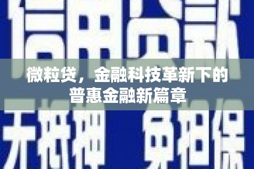 德惠微粒贷，金融科技革新下的普惠金融新篇章