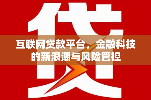 德惠互联网贷款平台，金融科技的新浪潮与风险管控