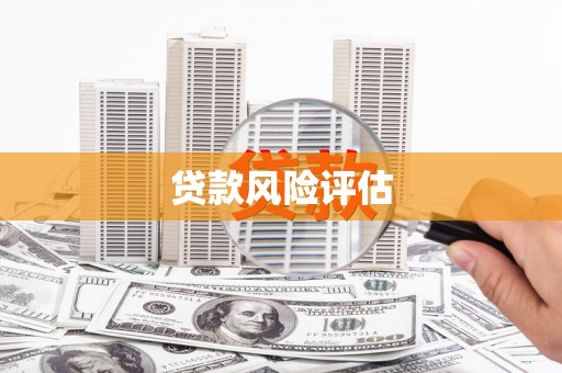 德惠贷款风险评估