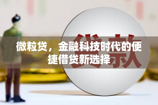 德惠微粒贷，金融科技时代的便捷借贷新选择