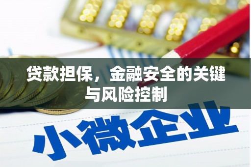 德惠贷款担保，金融安全的关键与风险控制