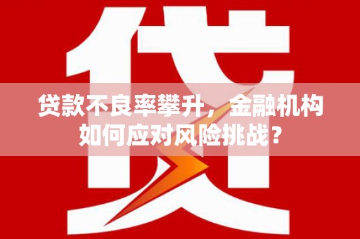 德惠贷款不良率攀升，金融机构如何应对风险挑战？