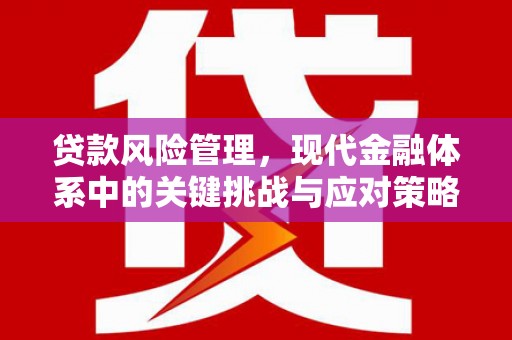 德惠贷款风险管理，现代金融体系中的关键挑战与应对策略